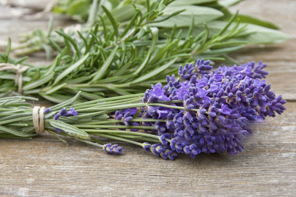 LAVENDER & ROSEMARY*