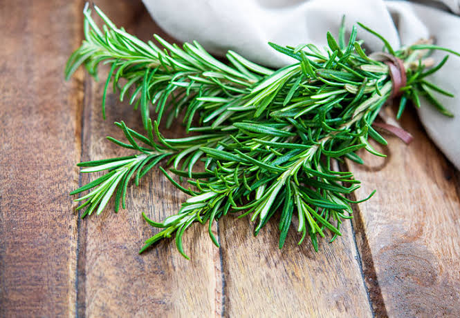 ROSEMARY MINT ESSENTIAL OIL BLEND