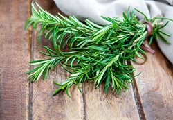 ROSEMARY ORGANIC OIL