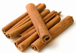 Cinnamon Bark Oil