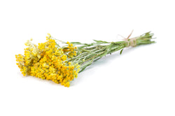 Helichrysum Ital Oil