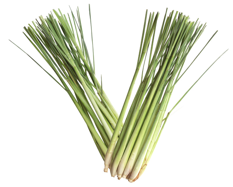 Lemongrass Organic Oil