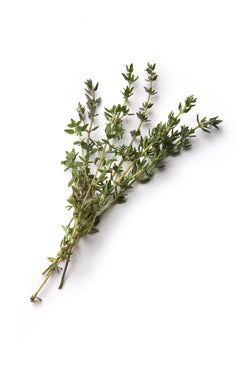 Rosemary Moroccan