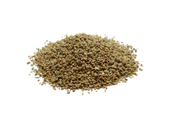 CELERY SEED OIL