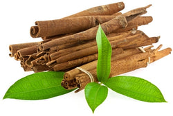 CINNAMON LEAF ORGANIC OIL