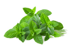 PEPPERMINT 1879