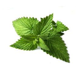 Spearmint Organic Oil