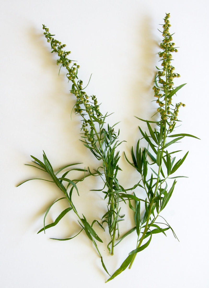 Tarragon